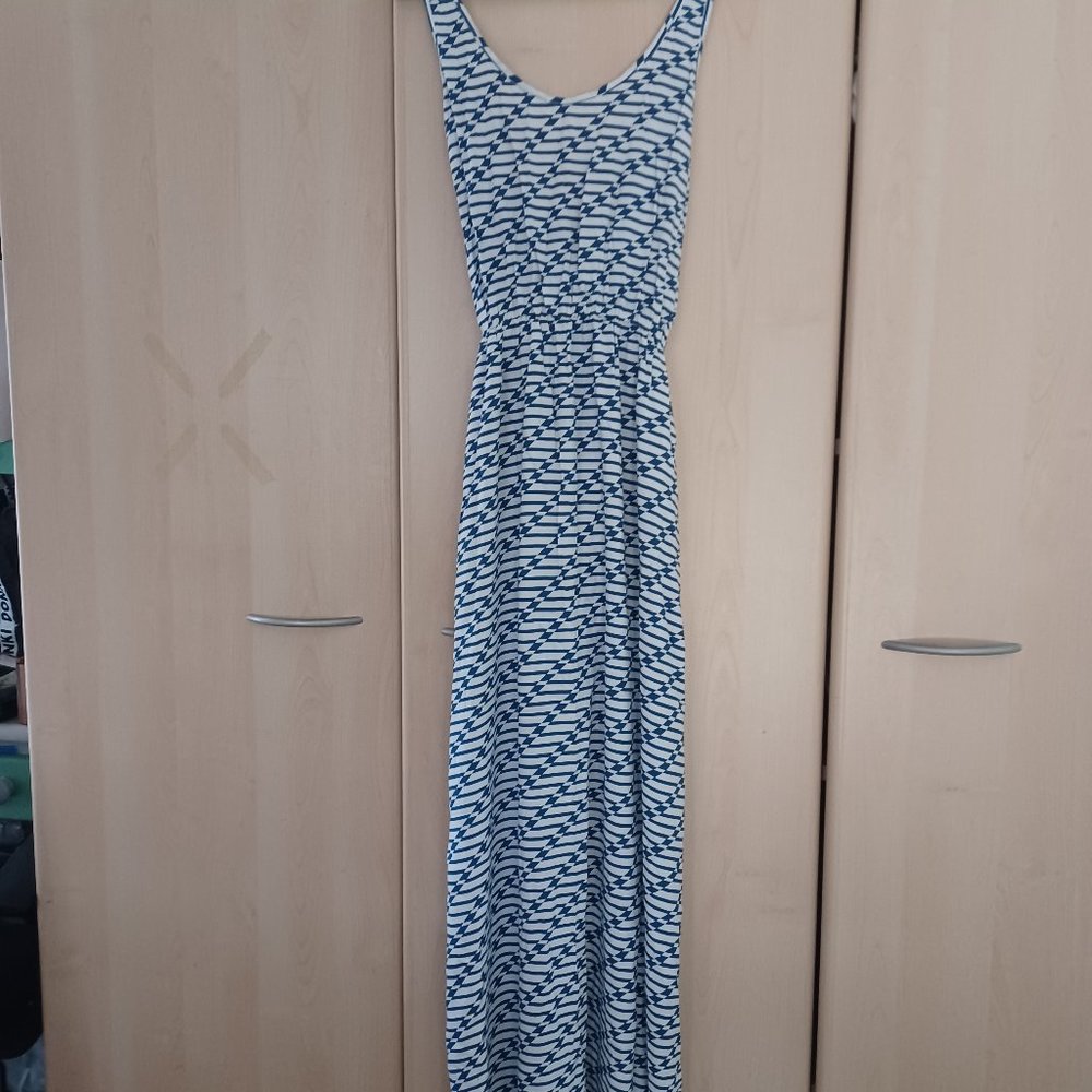 Ava Sky/ Fighting Eel maxi-dress
